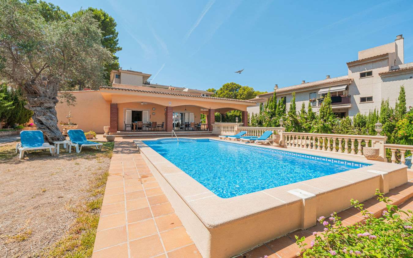 [object Object] - image