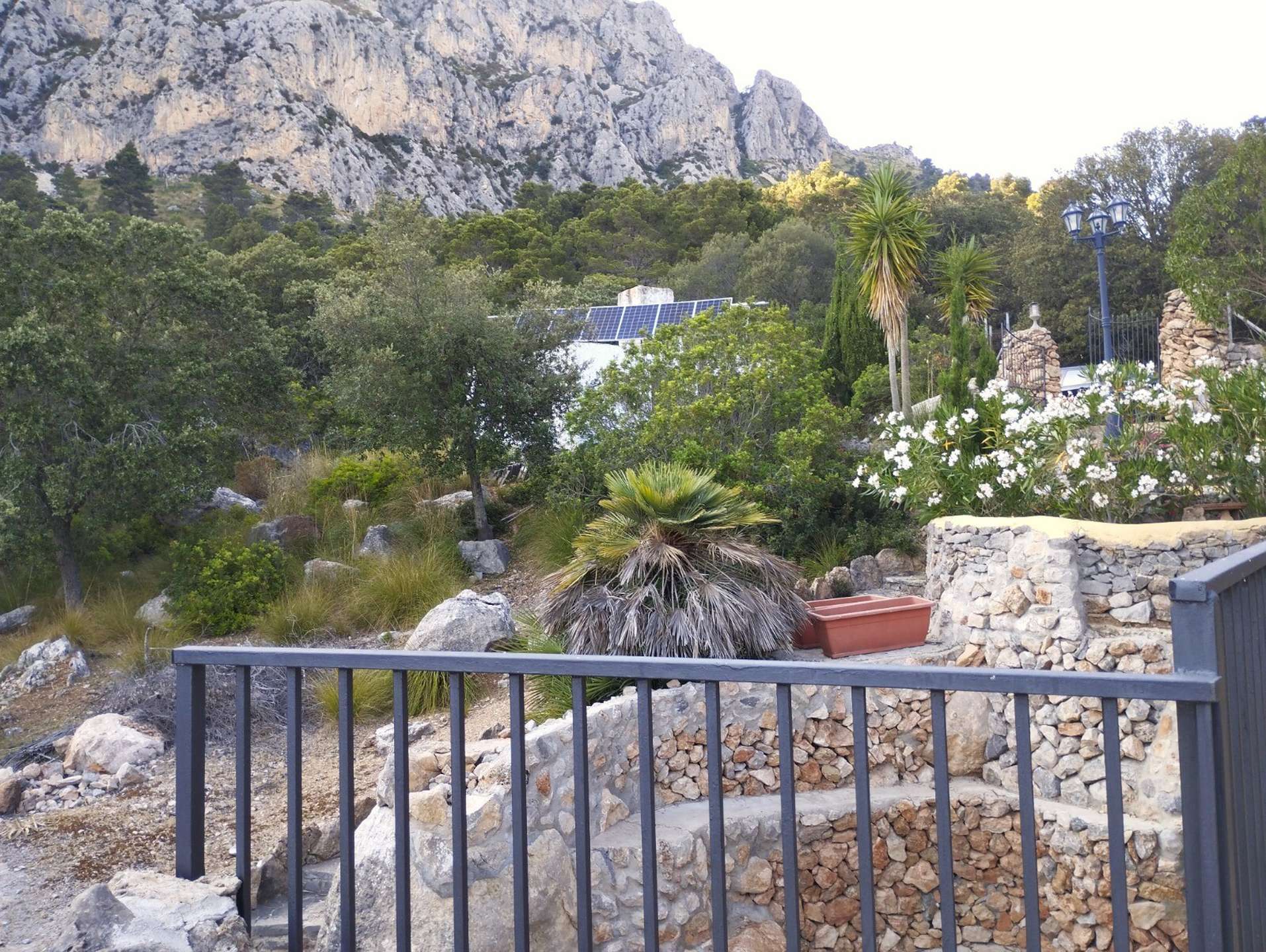 [object Object] - image