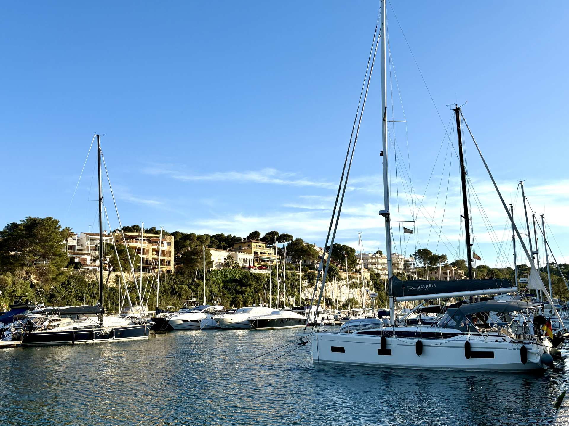 [object Object] - image