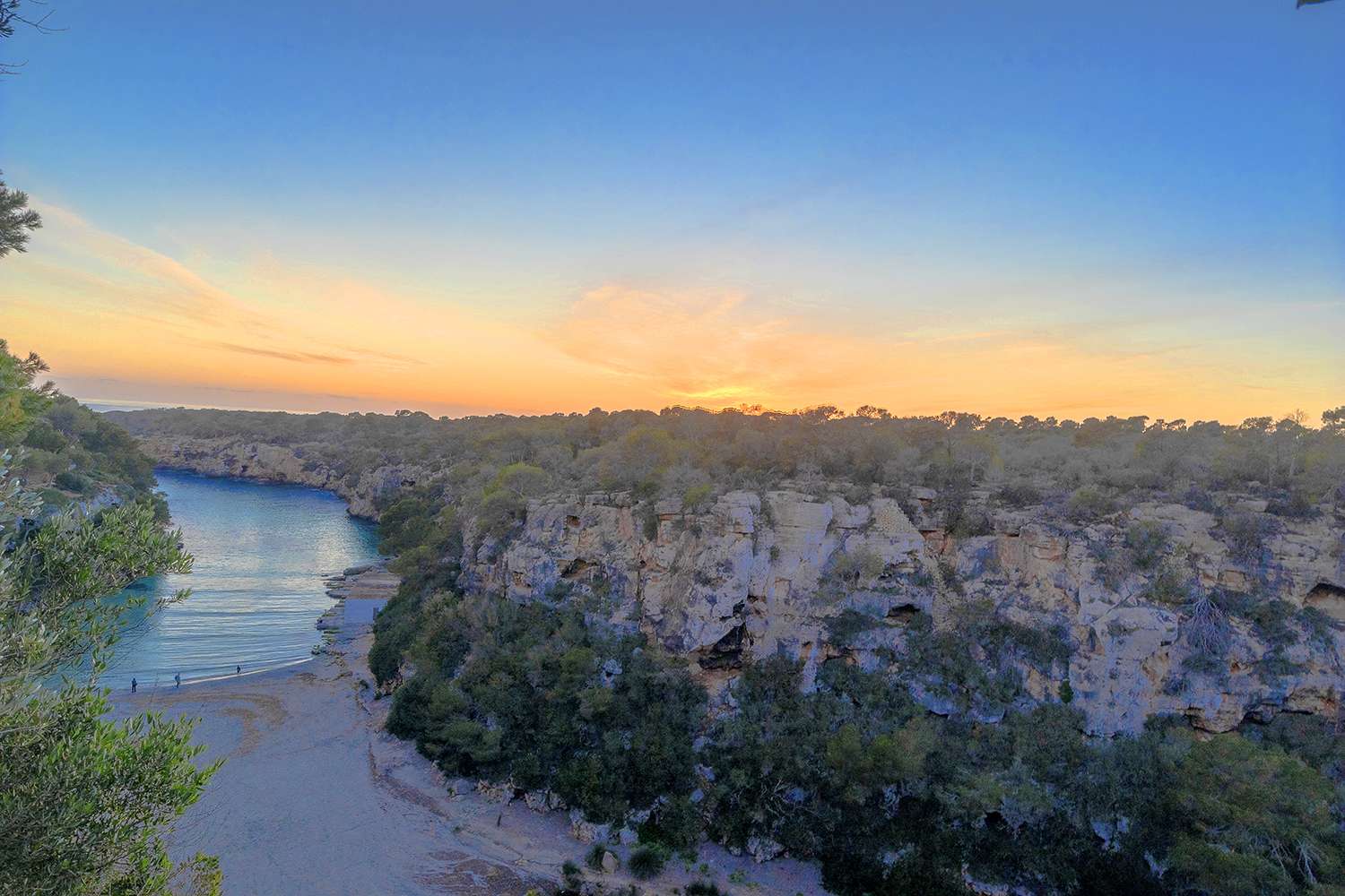 [object Object] - image