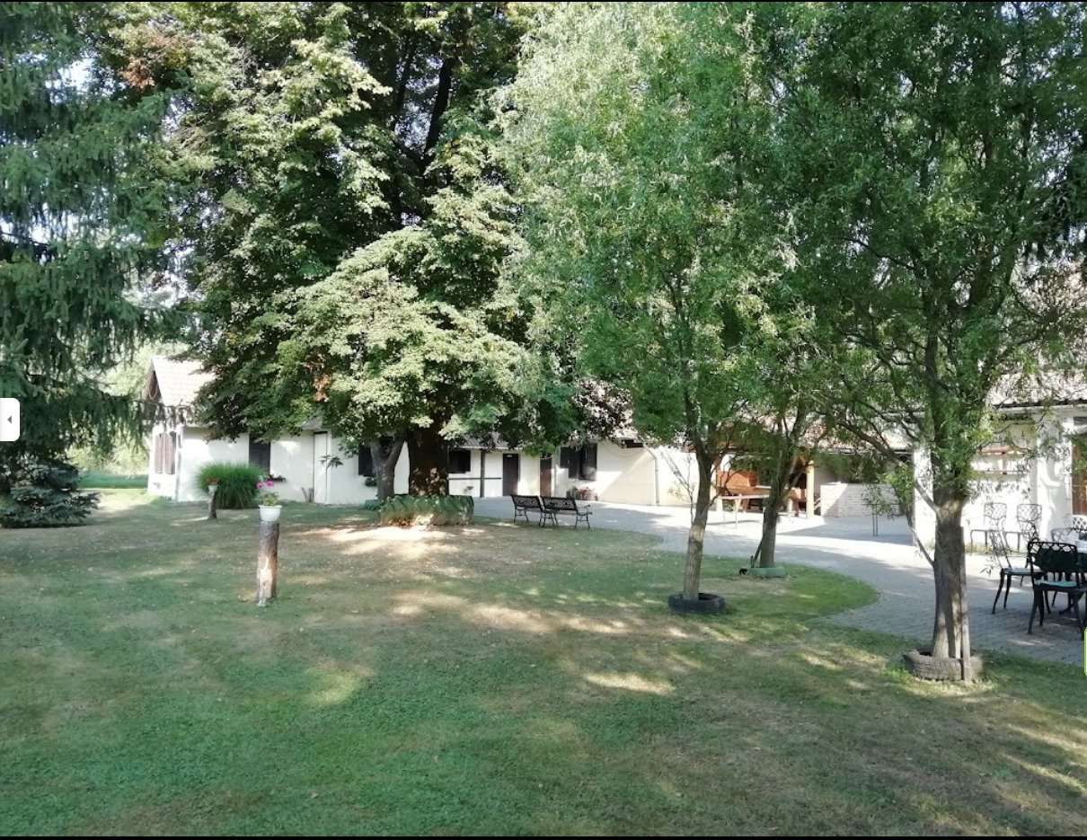 [object Object] - image