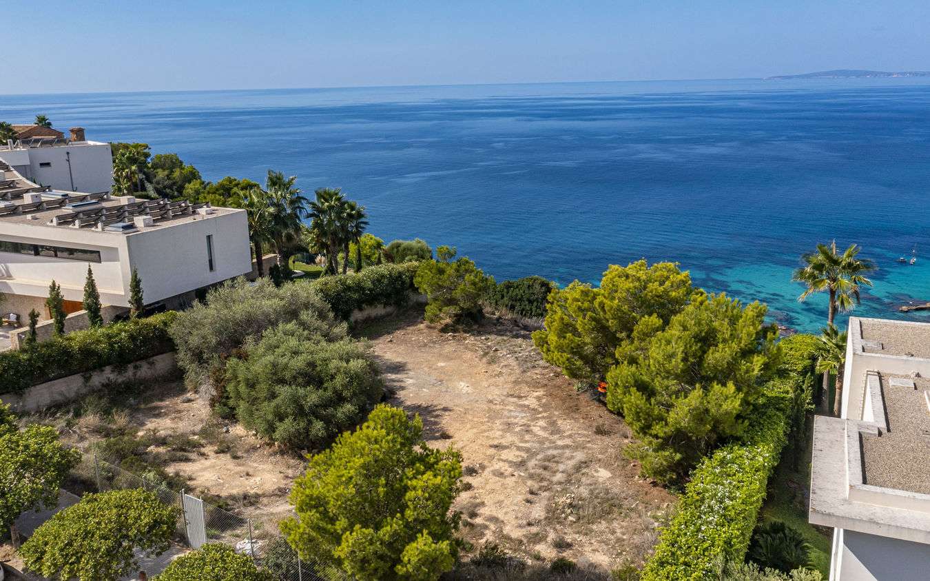 [object Object] - image