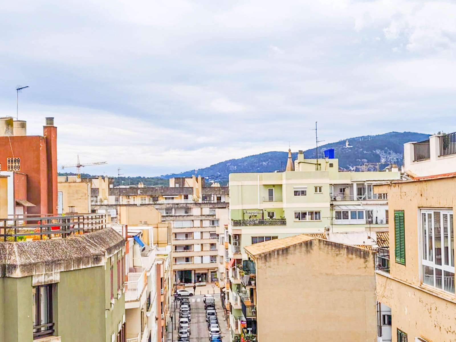 [object Object] - image