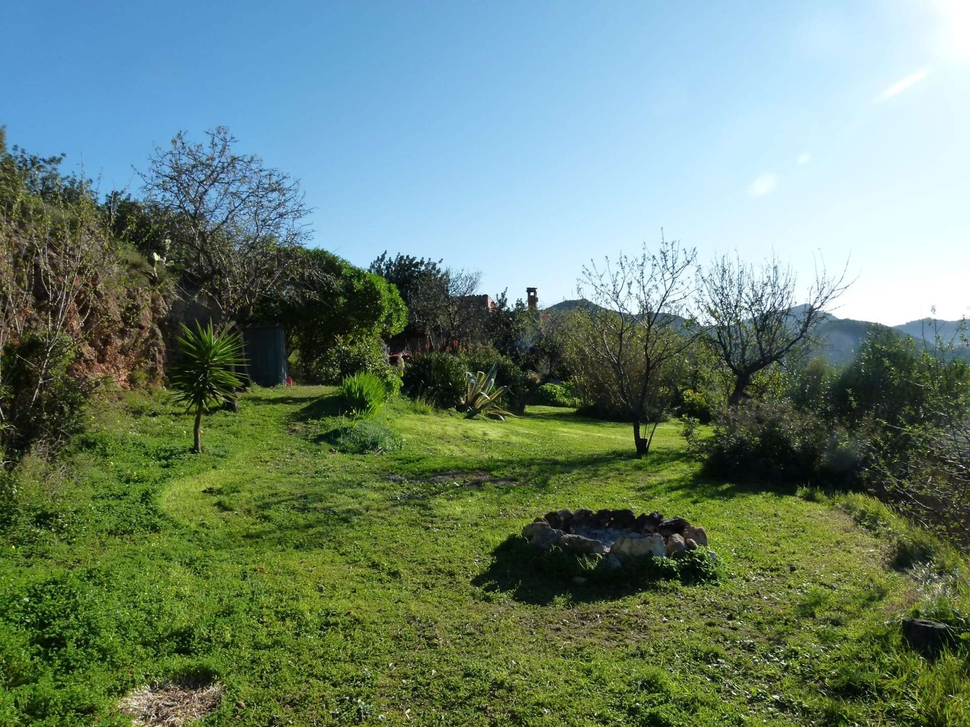 [object Object] - image