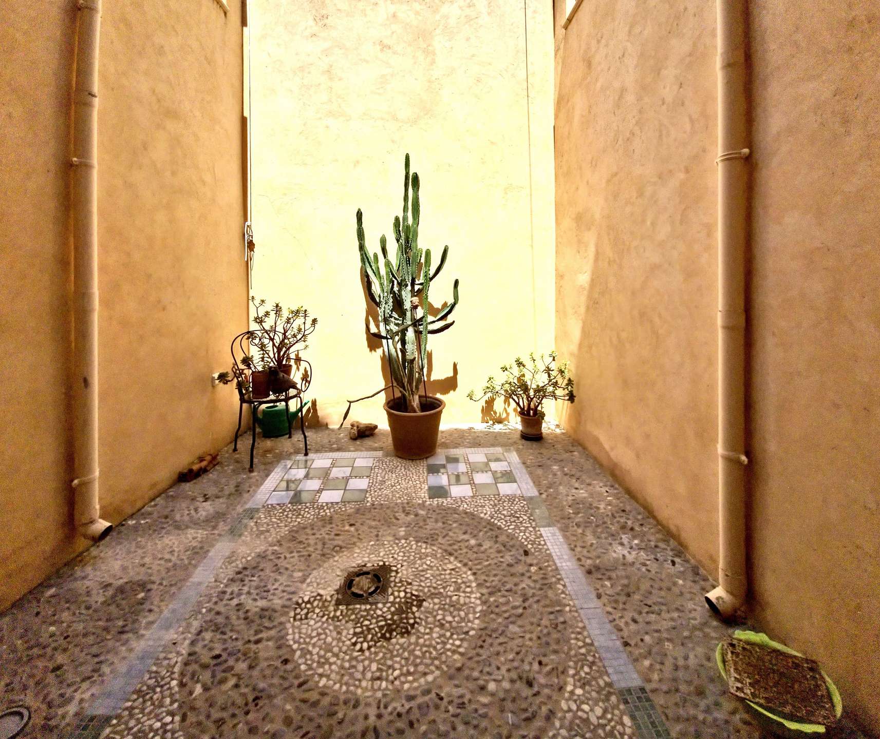 [object Object] - image