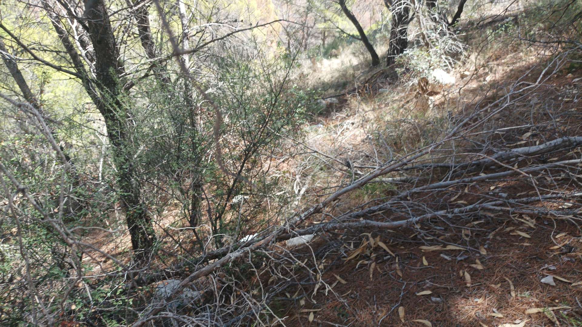 [object Object] - image