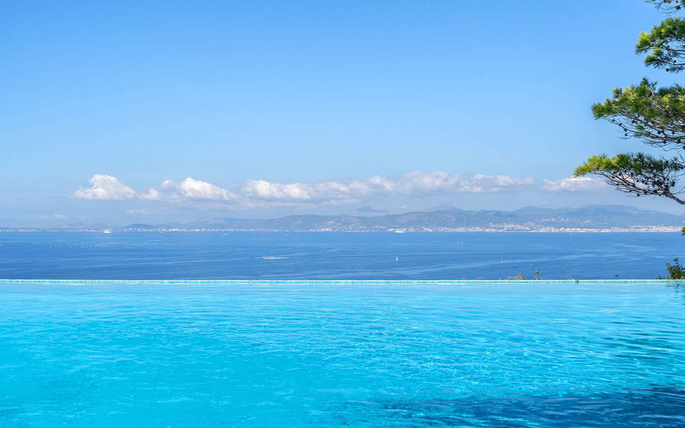 [object Object] - image