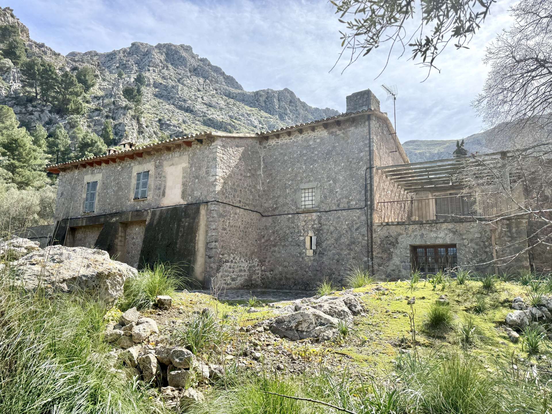 [object Object] - image