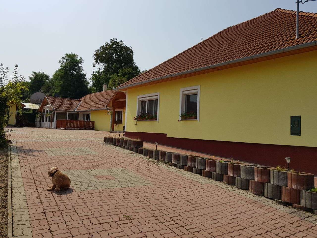 [object Object] - image