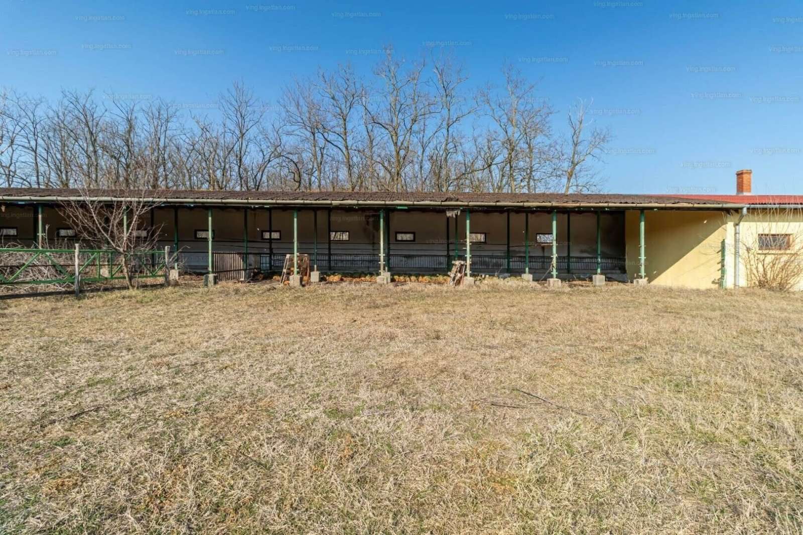 [object Object] - image