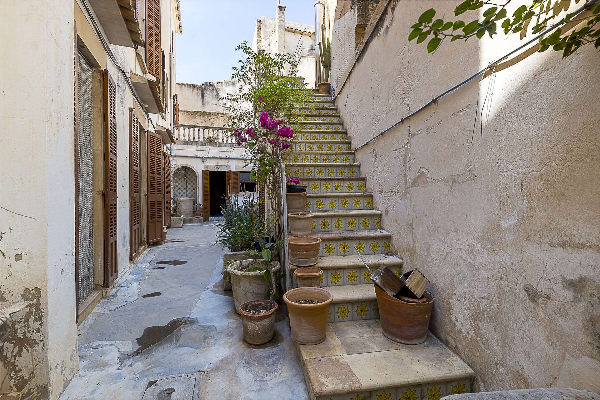 [object Object] - image