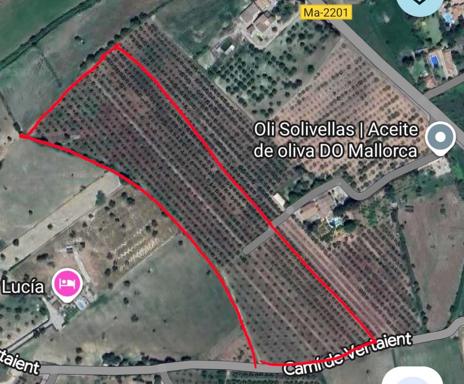 [object Object] - image