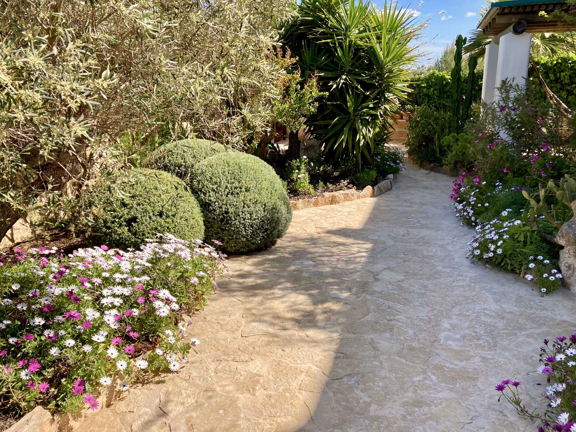 [object Object] - image