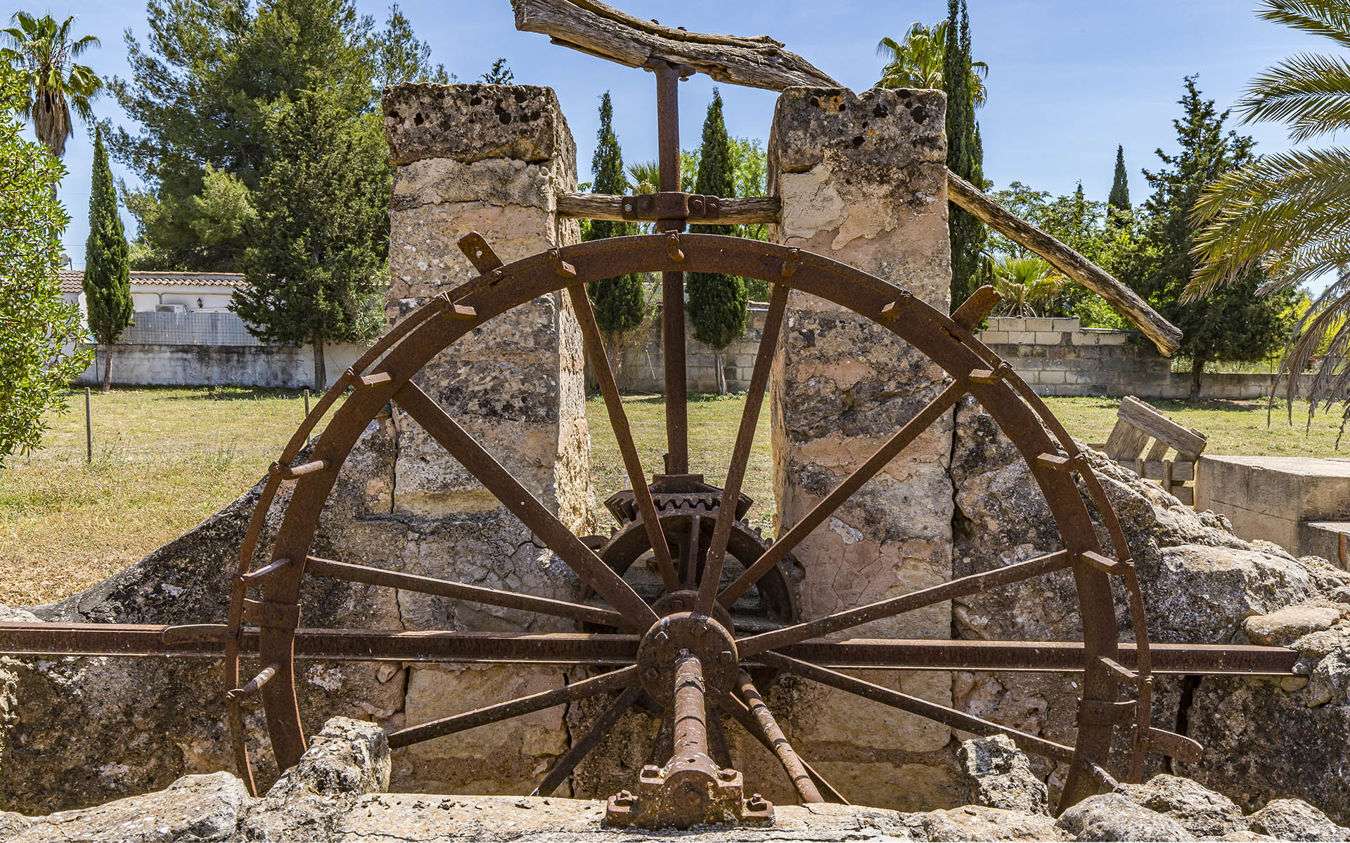 [object Object] - image