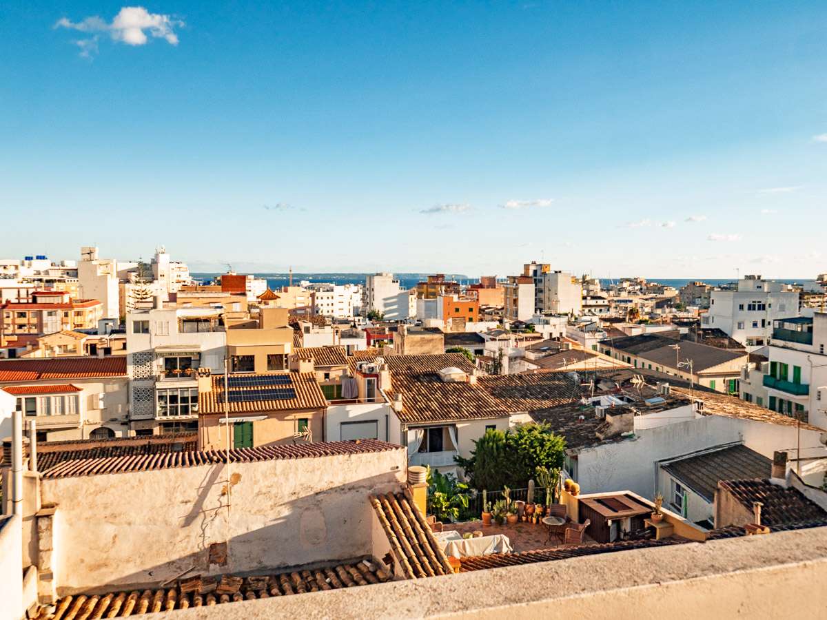 [object Object] - image