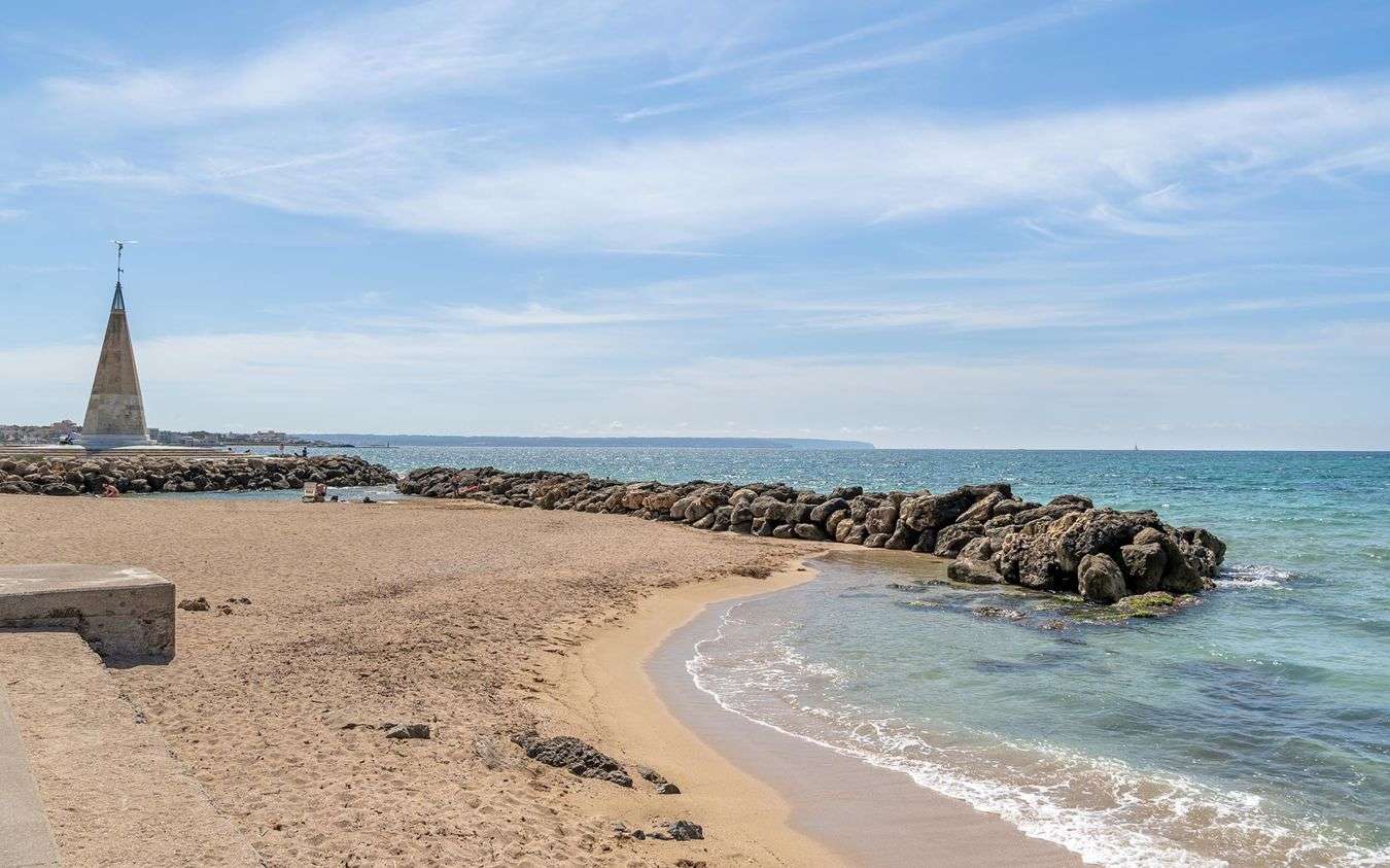 [object Object] - image