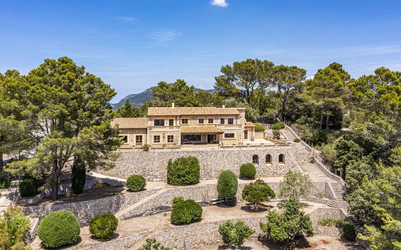 [object Object] - image