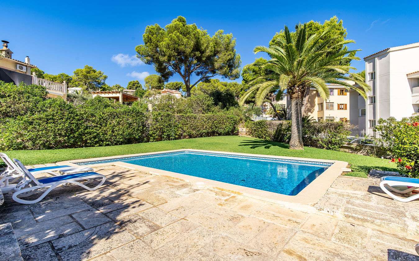 [object Object] - image