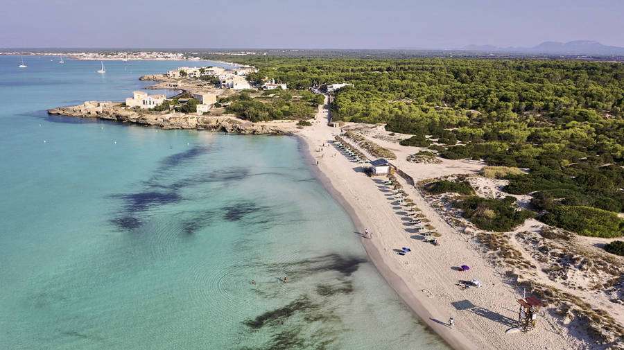 [object Object] - image