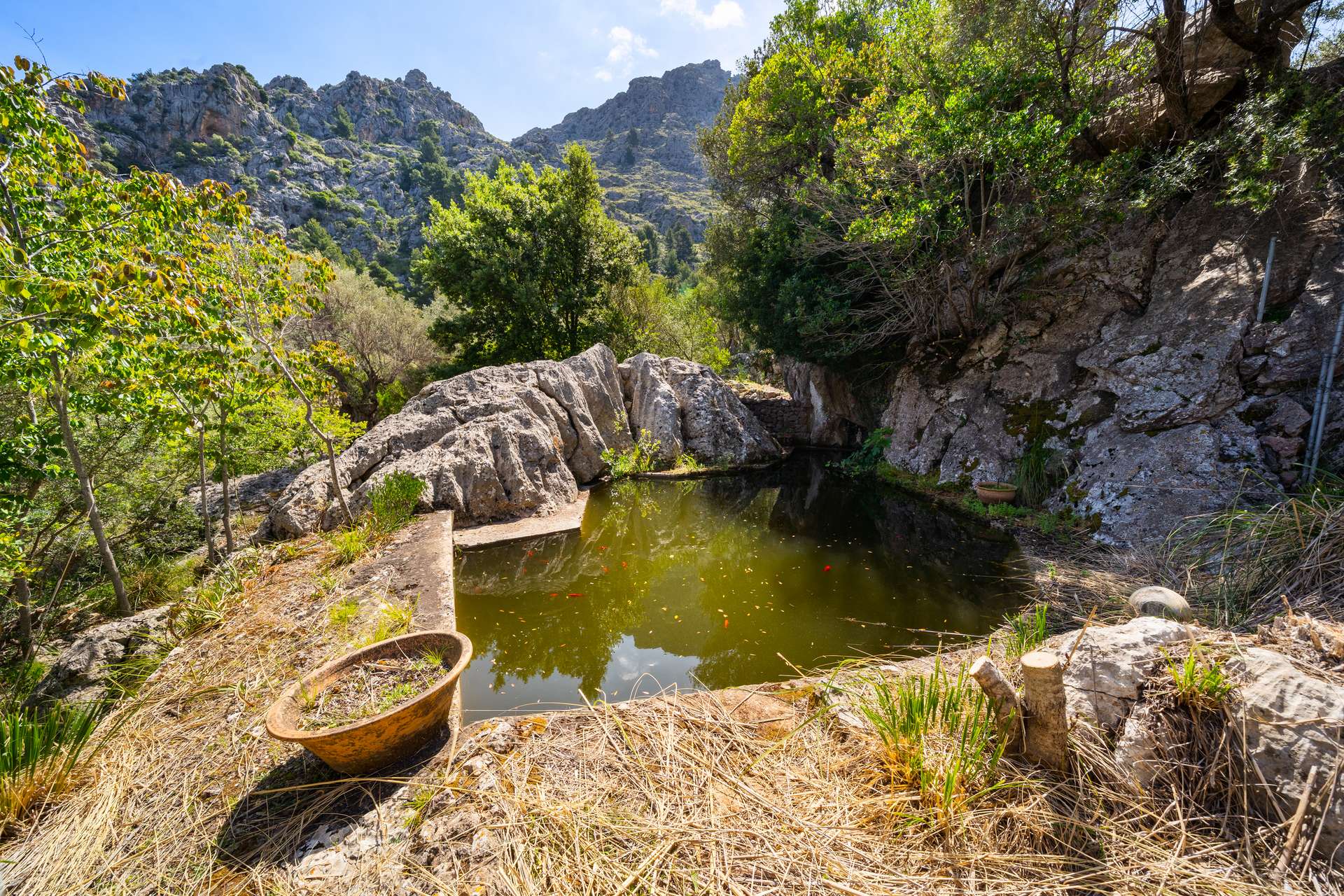 [object Object] - image