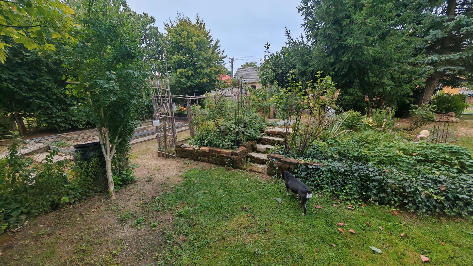 [object Object] - image