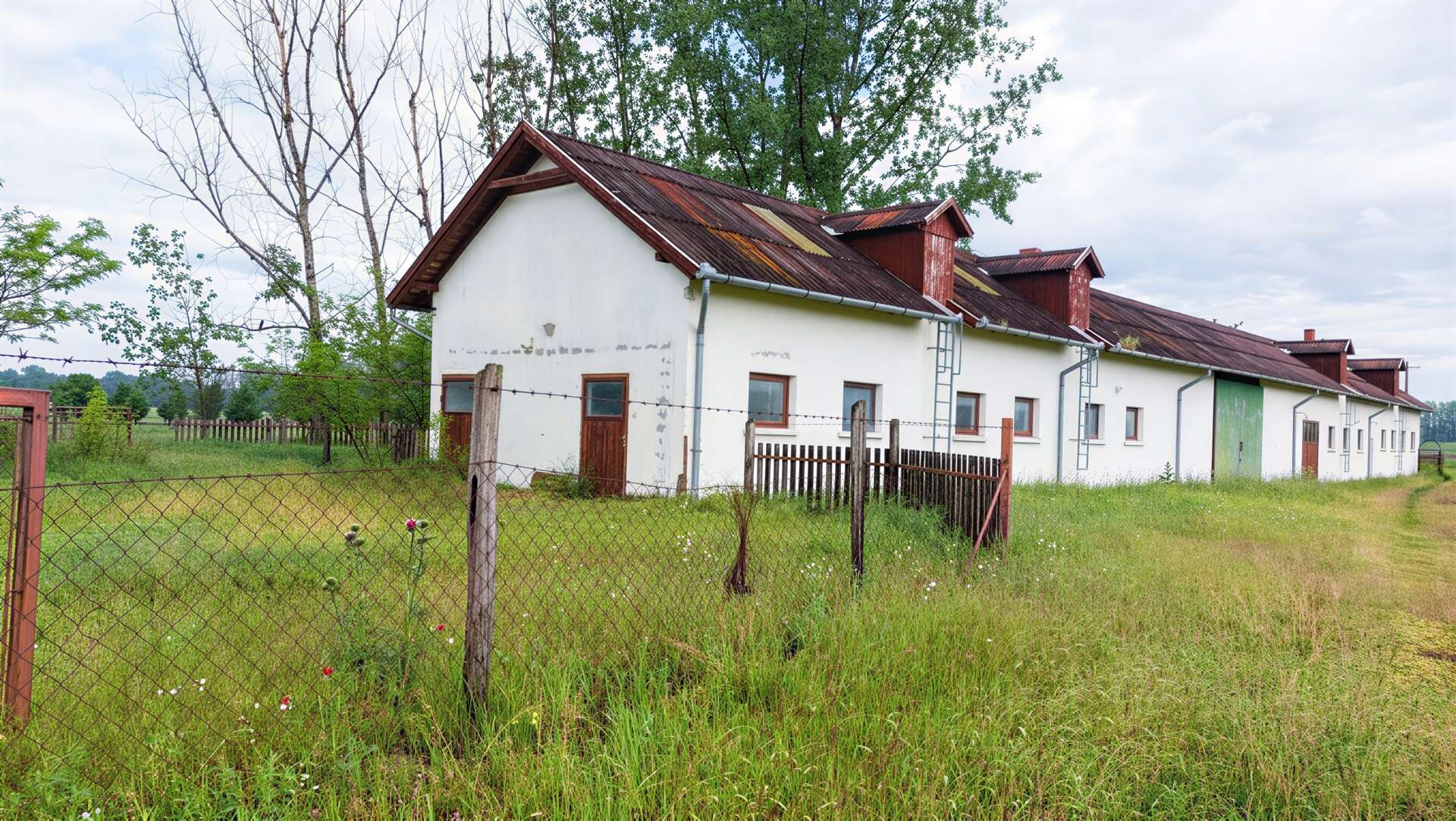 [object Object] - image