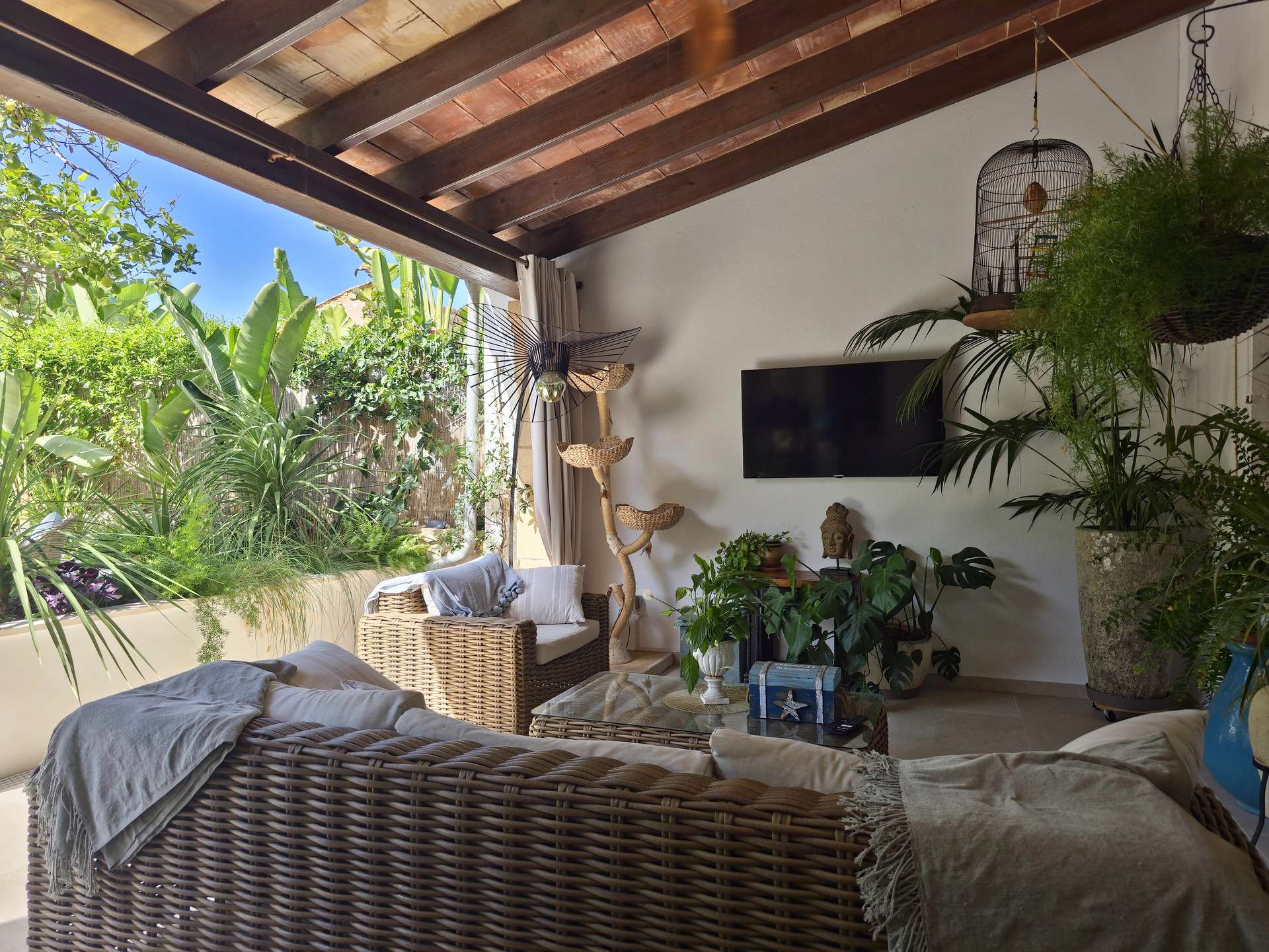 [object Object] - image