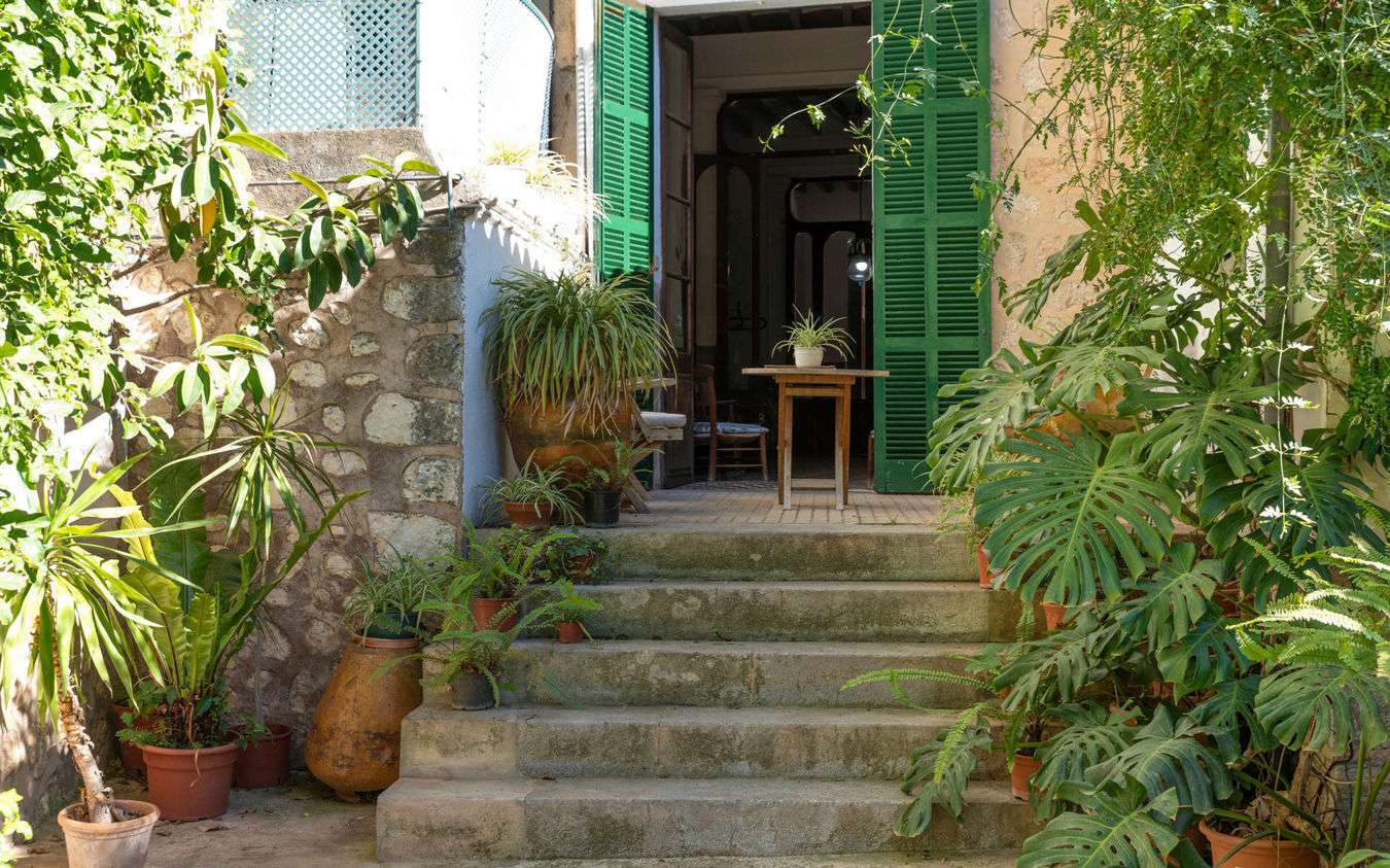 [object Object] - image