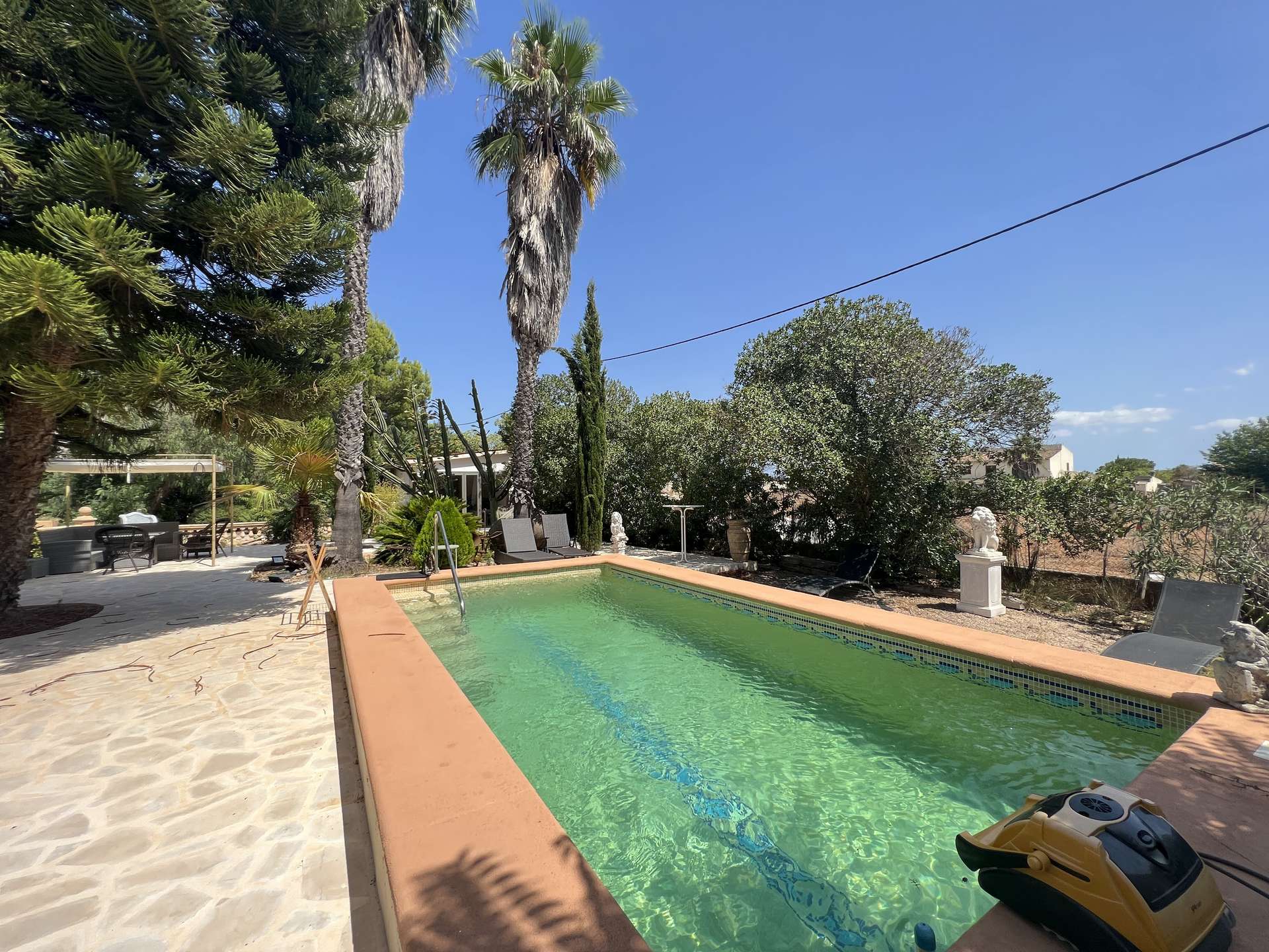 [object Object] - image