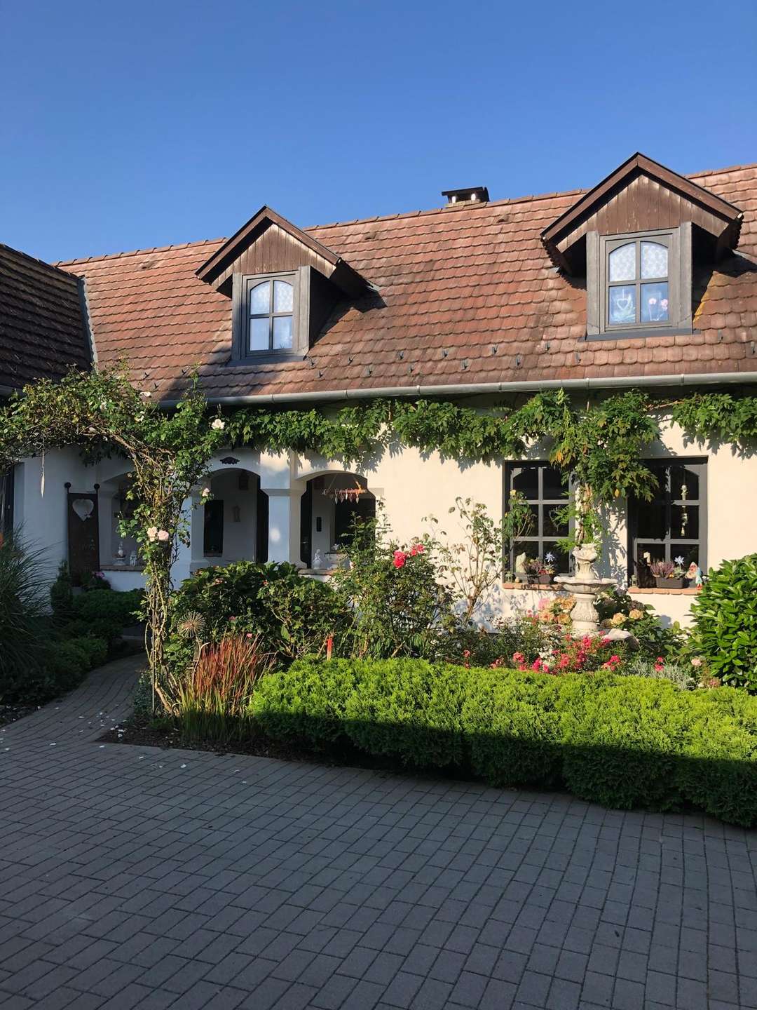 [object Object] - image