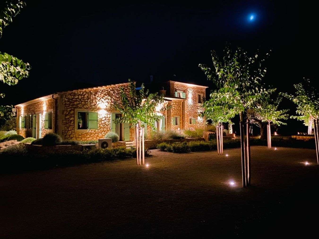 [object Object] - image