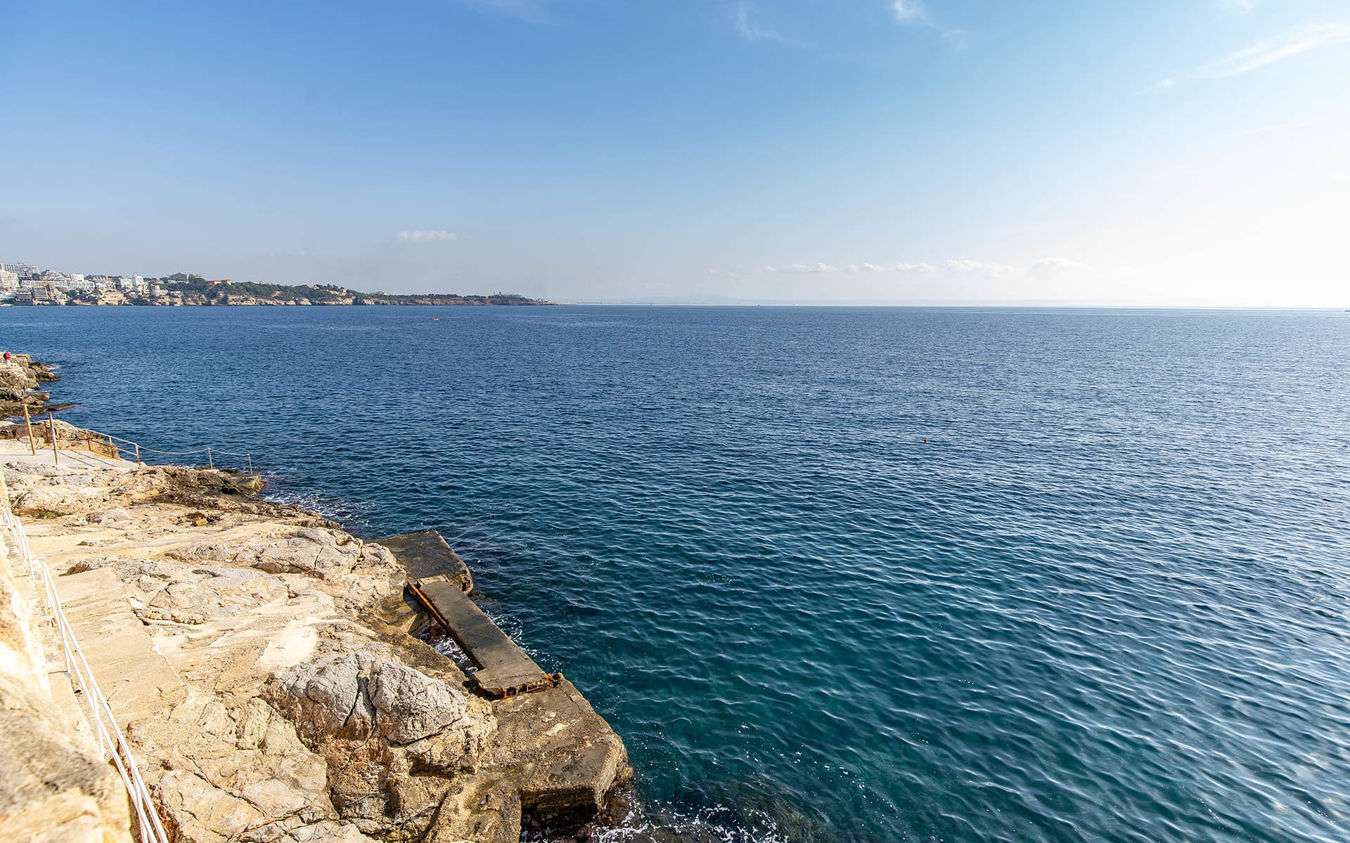 [object Object] - image