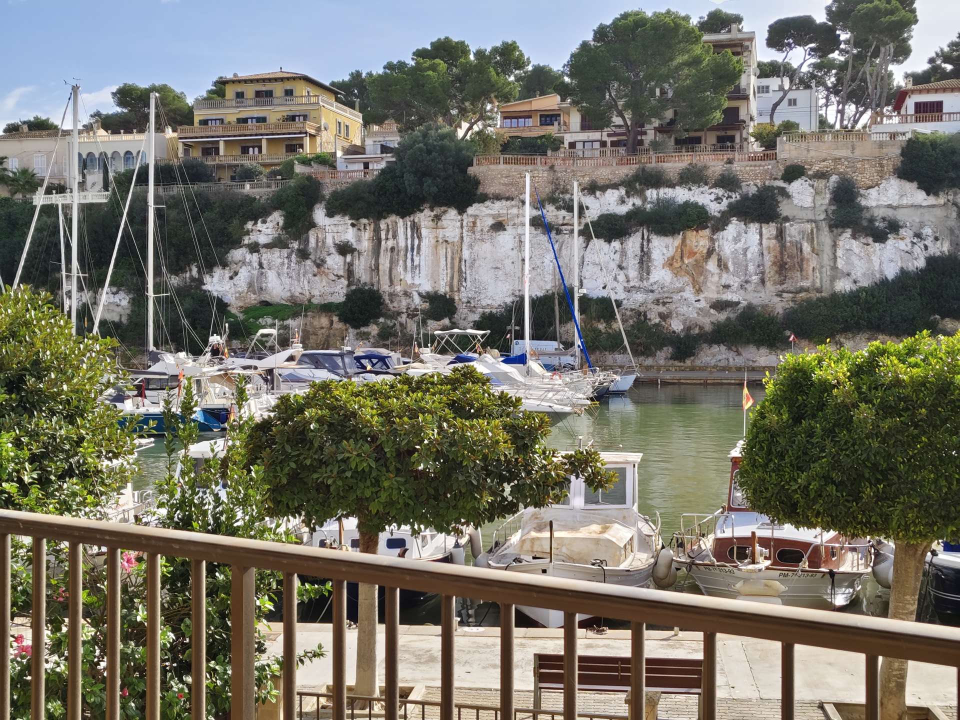 [object Object] - image