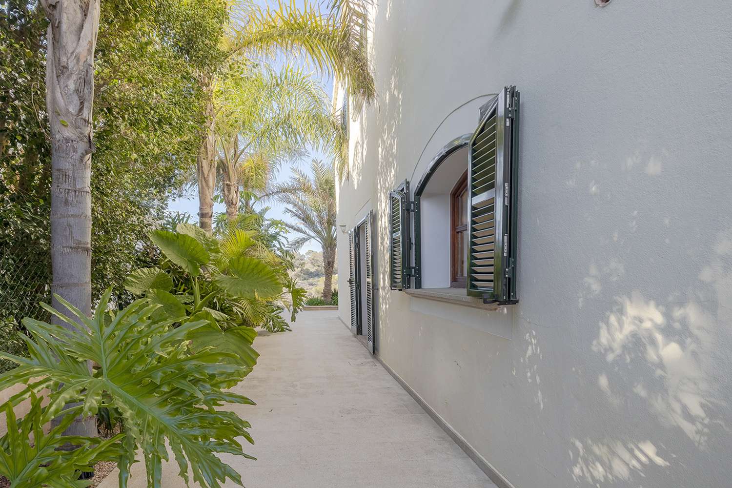 [object Object] - image