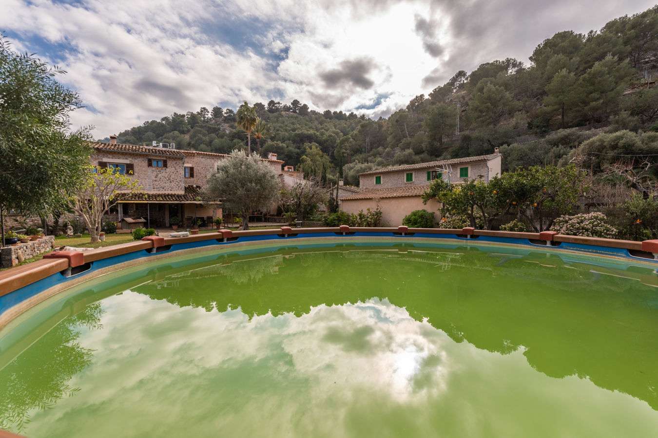 [object Object] - image