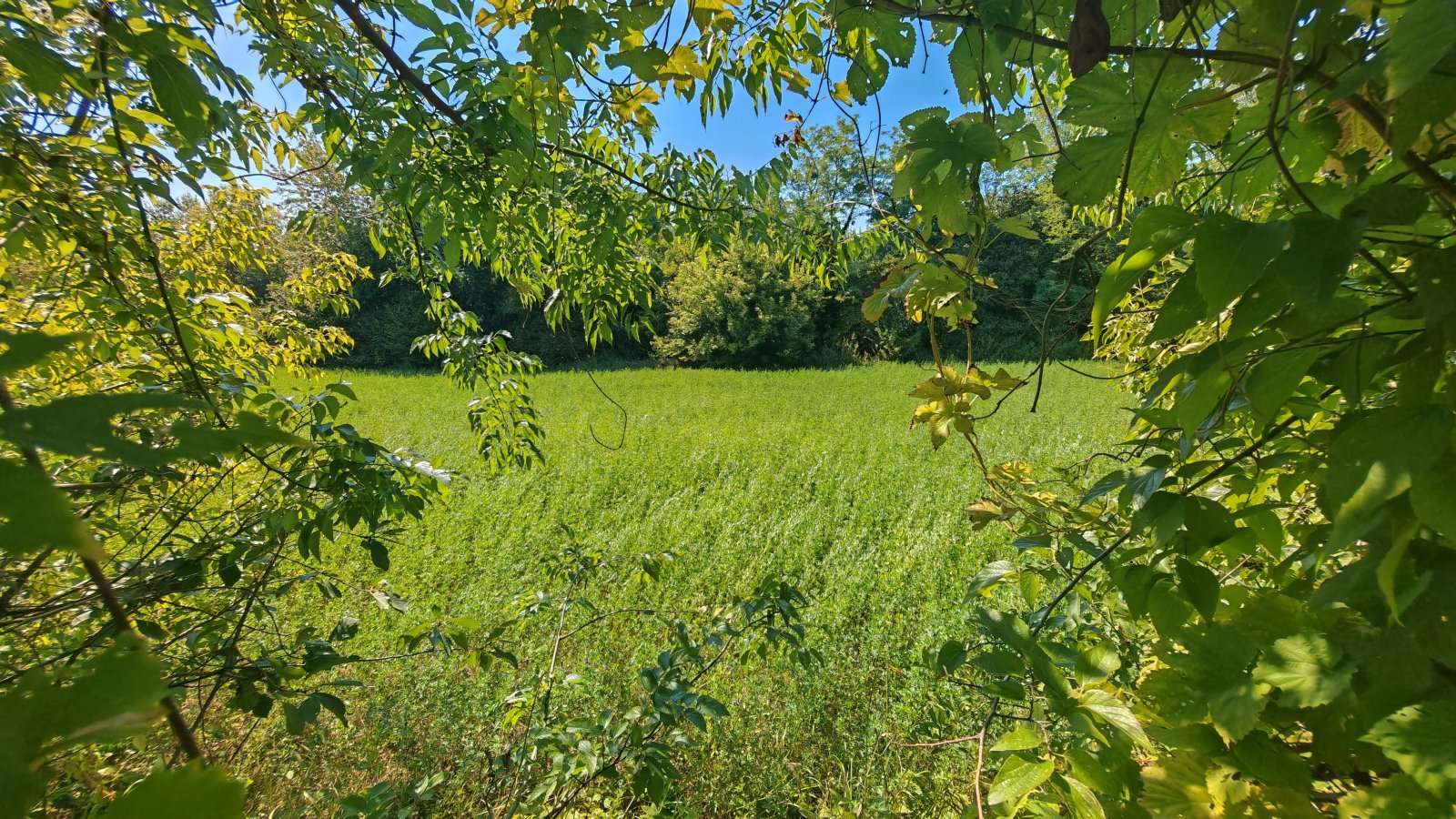 [object Object] - image