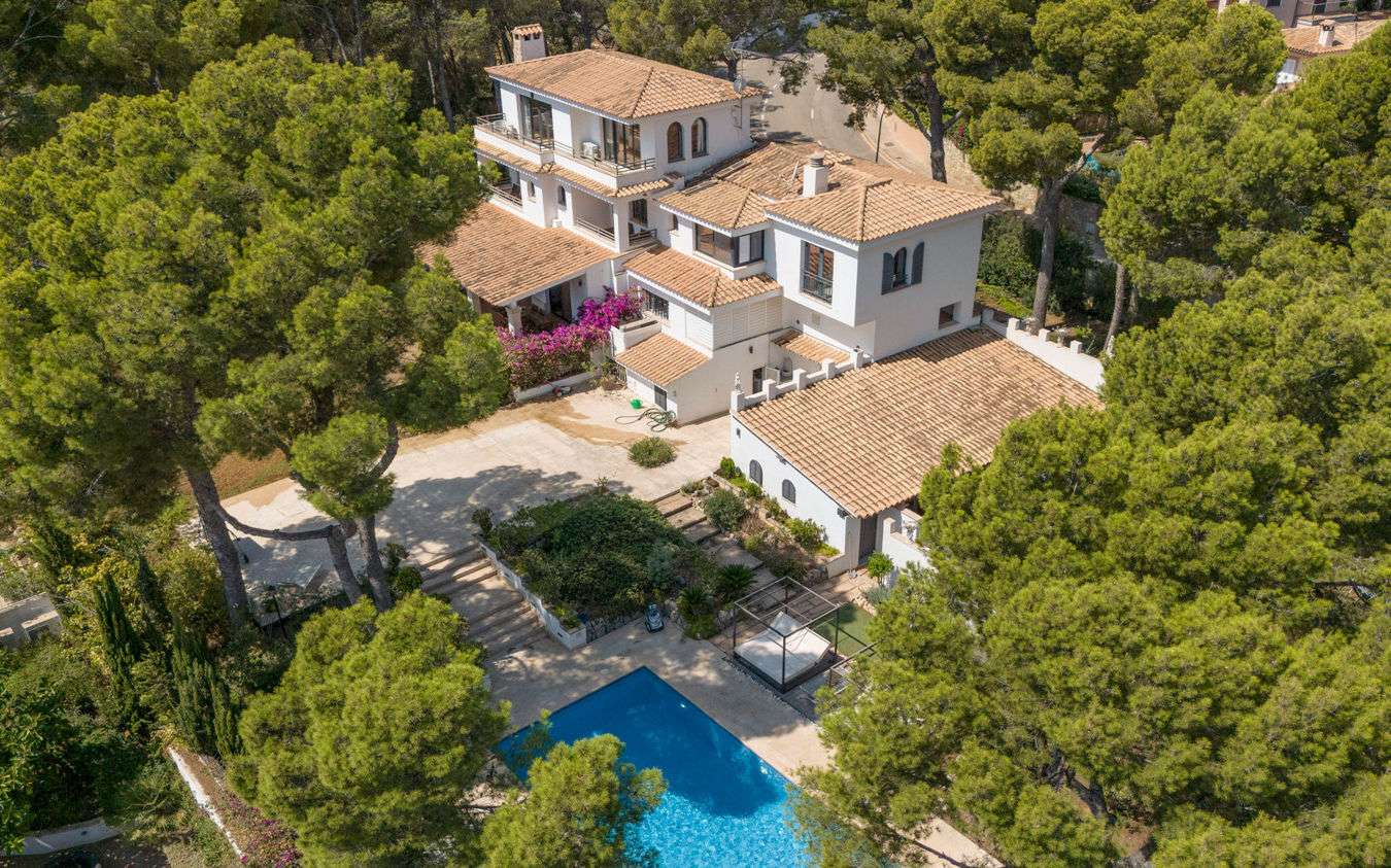 [object Object] - image