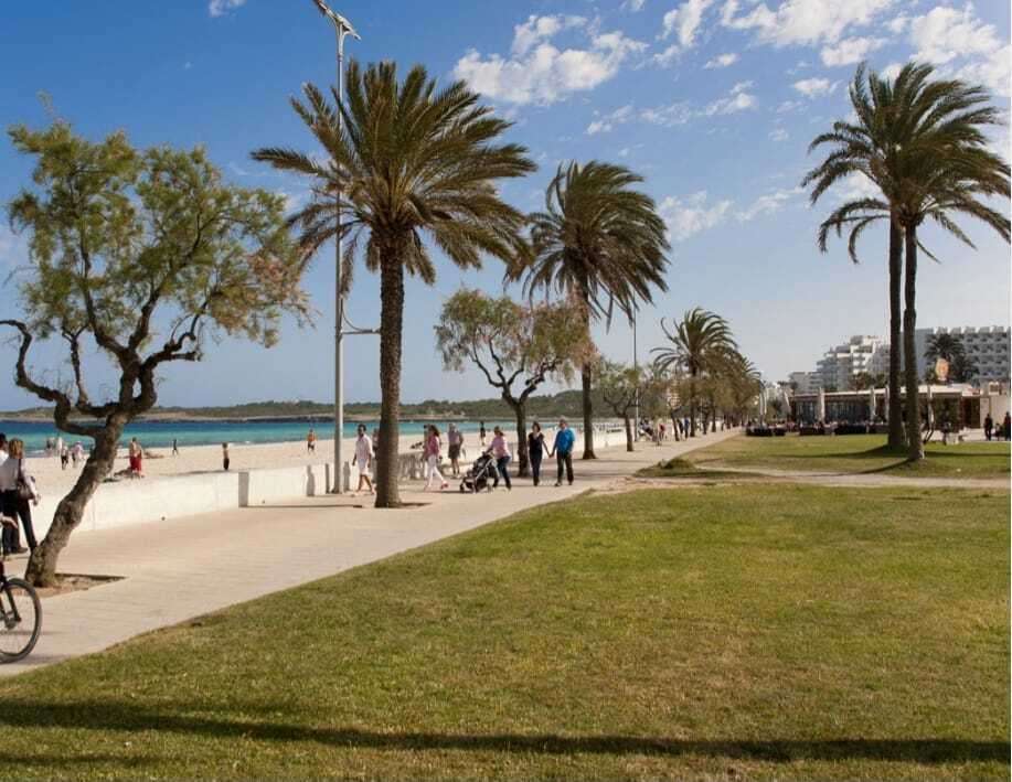 [object Object] - image