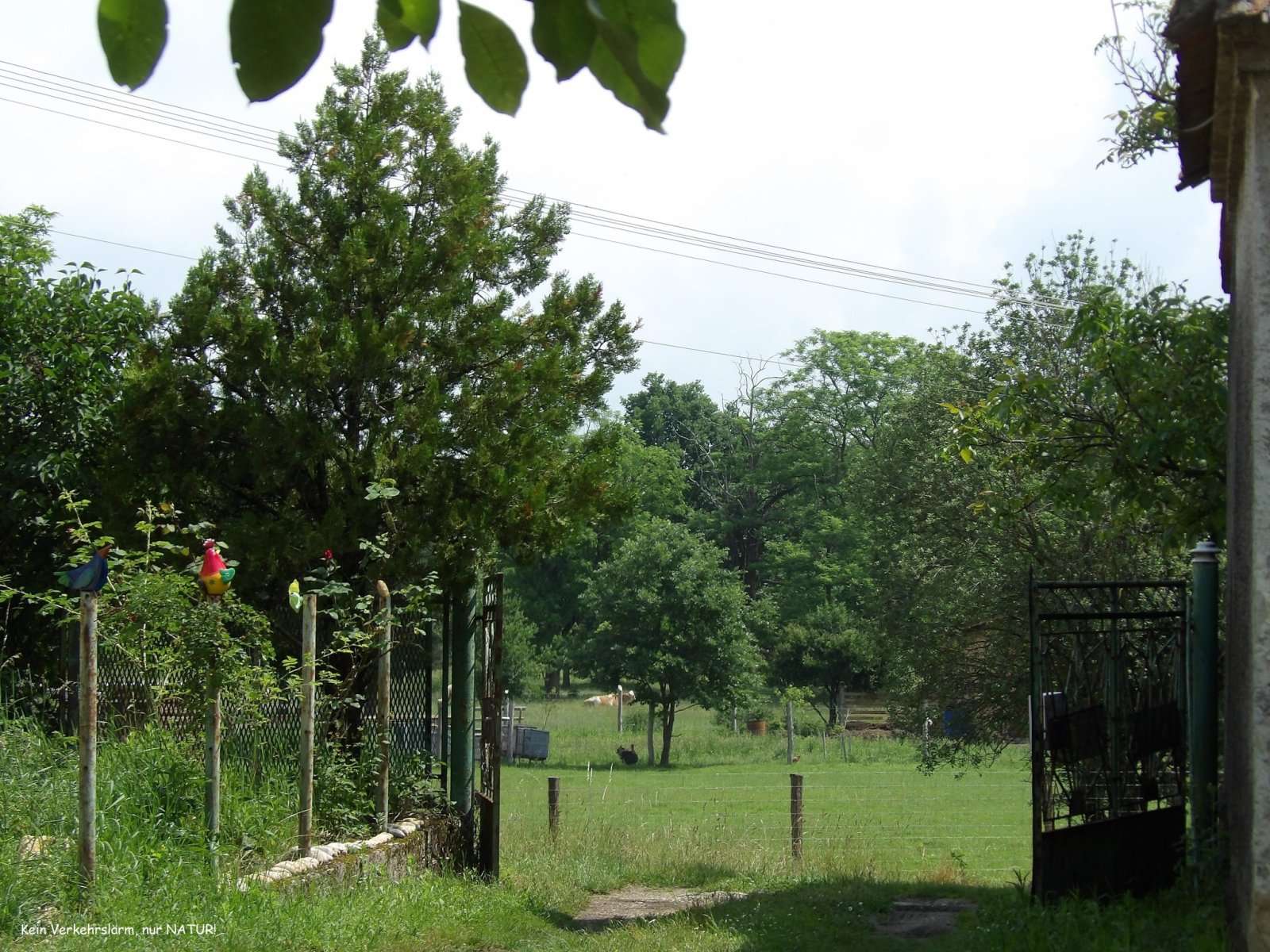 [object Object] - image