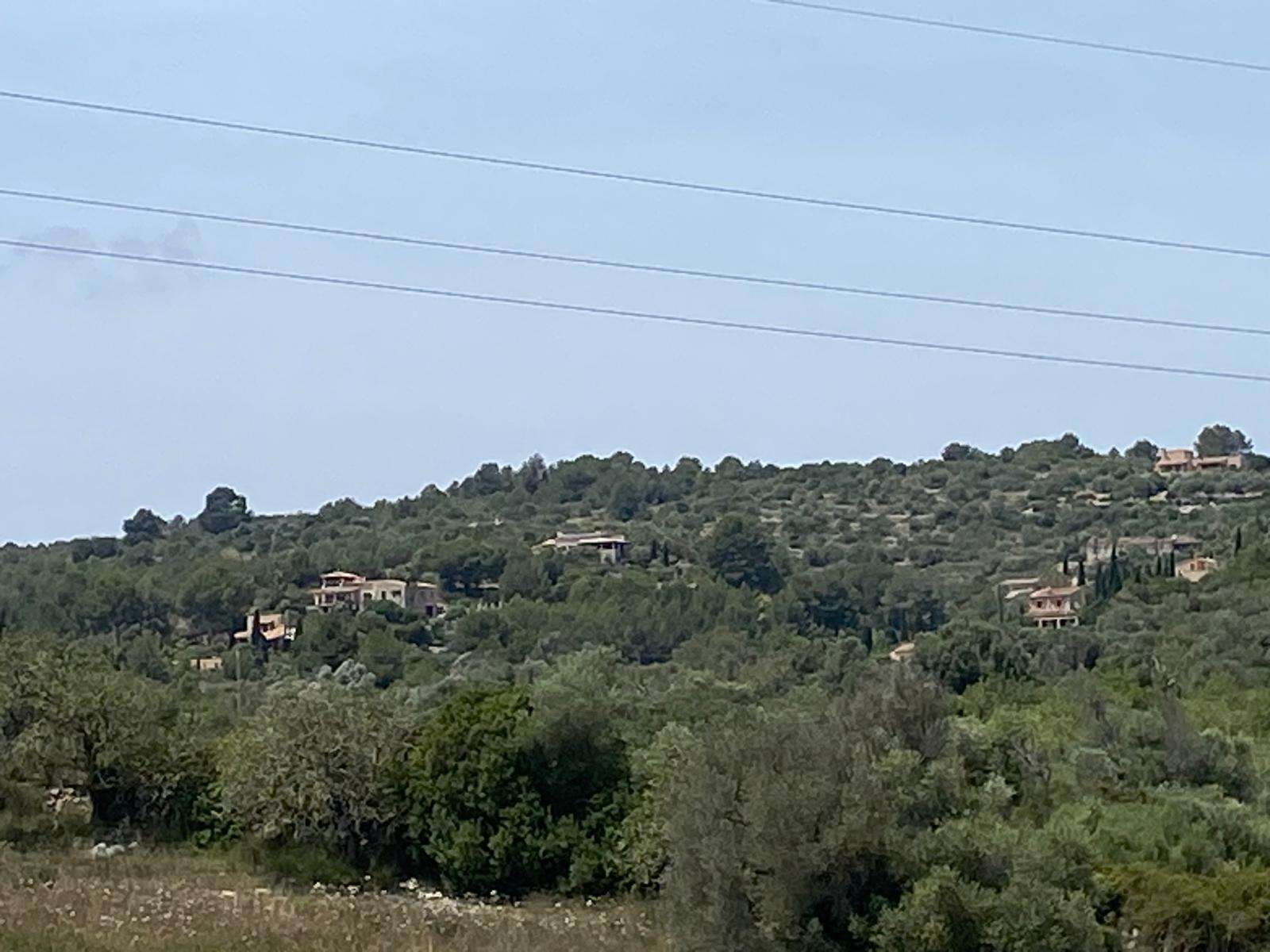 [object Object] - image