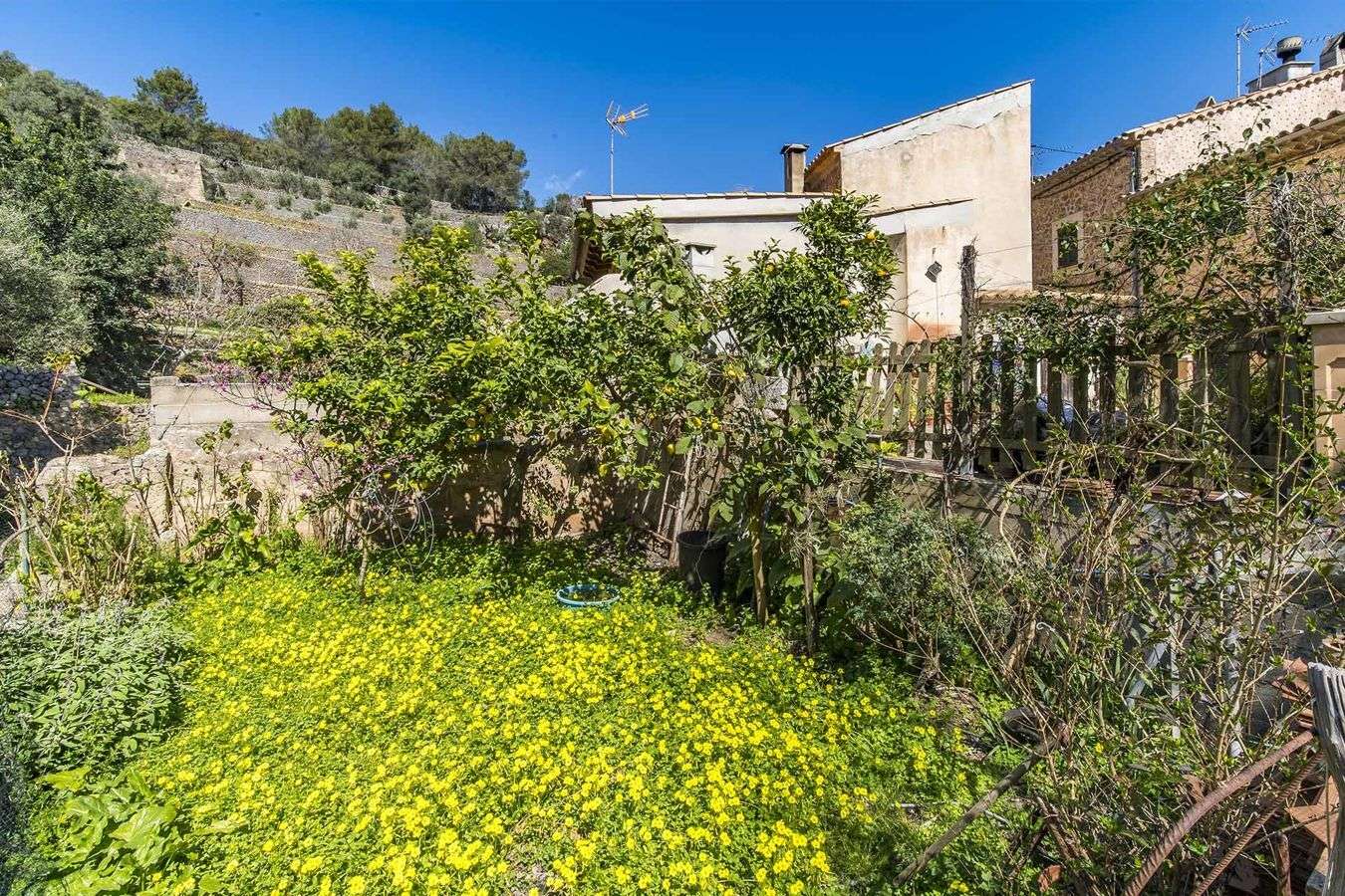 [object Object] - image