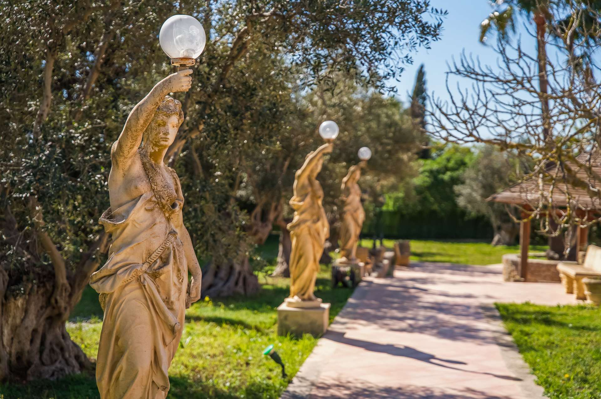 [object Object] - image