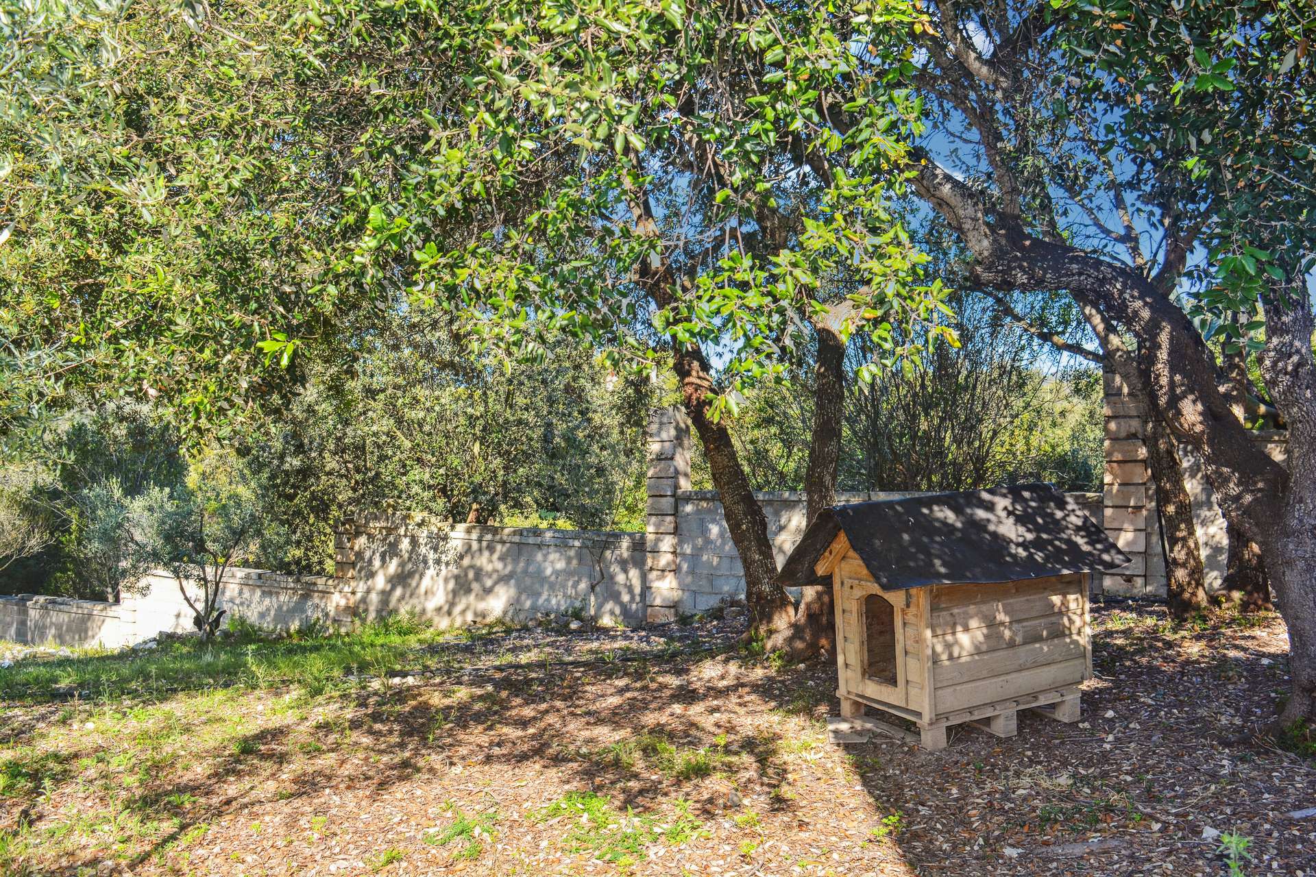 [object Object] - image