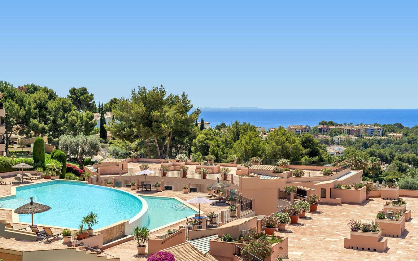 [object Object] - image