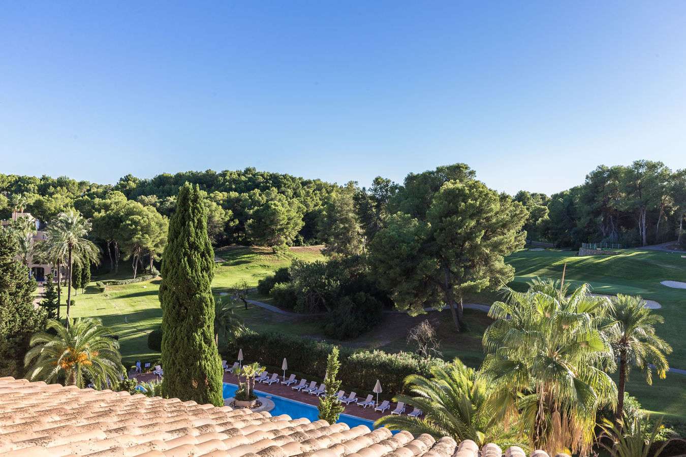 [object Object] - image