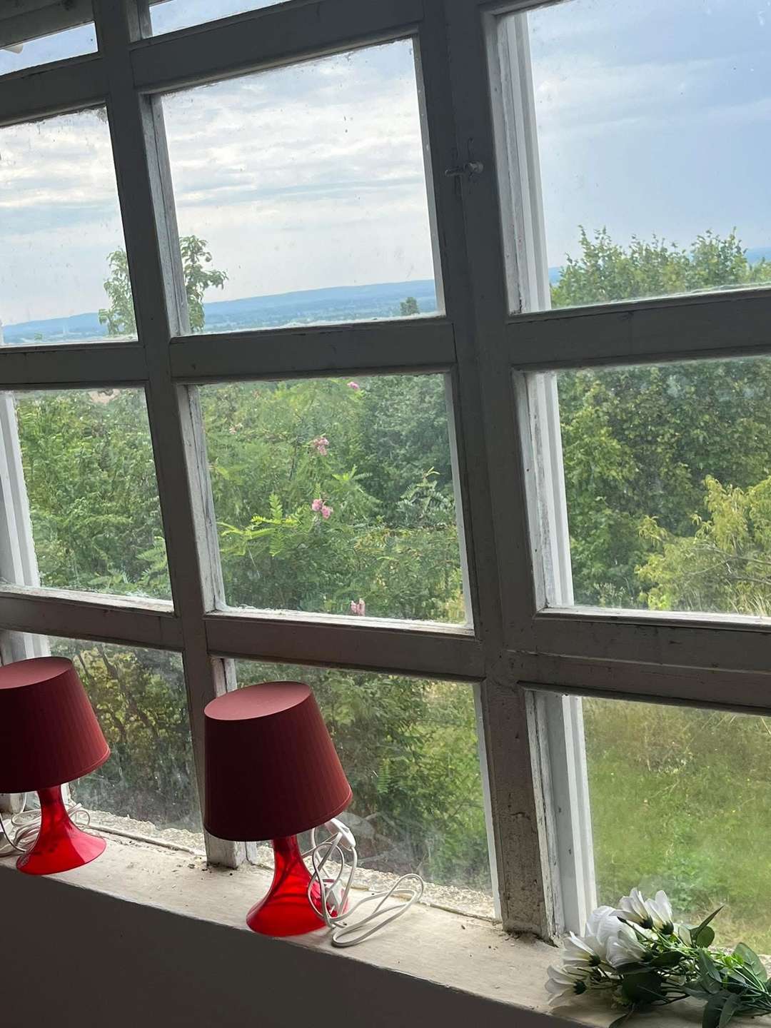 [object Object] - image