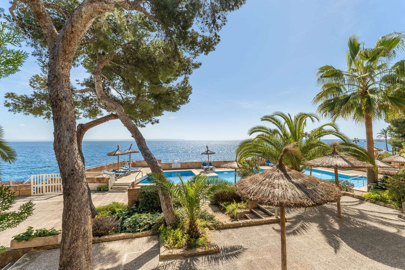 [object Object] - image