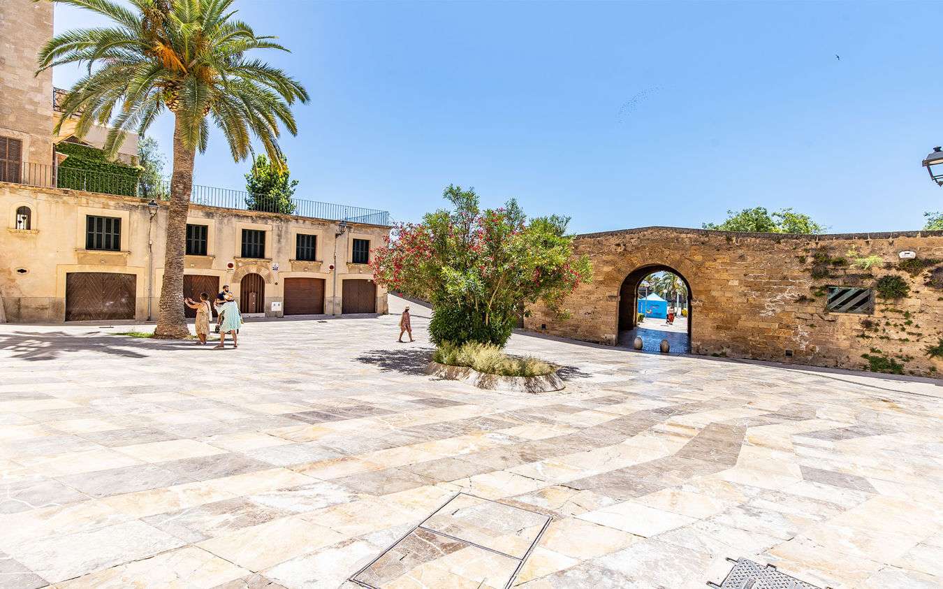 [object Object] - image