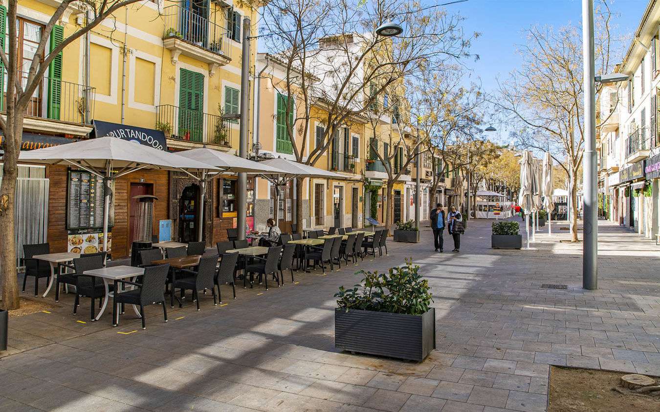 [object Object] - image