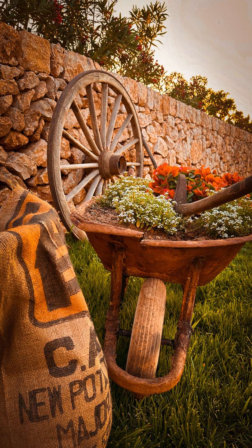 [object Object] - image